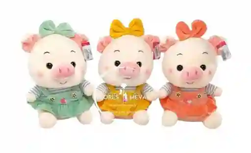 Peluche Marranita Vestida