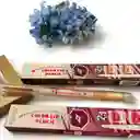 Lapiz Labial Warterprof