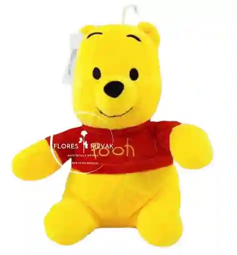 Peluche Winnie Pooh