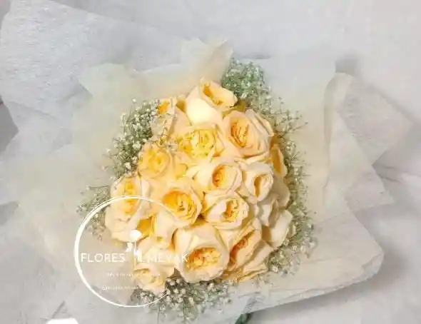 Ramo-rosas Versillia
