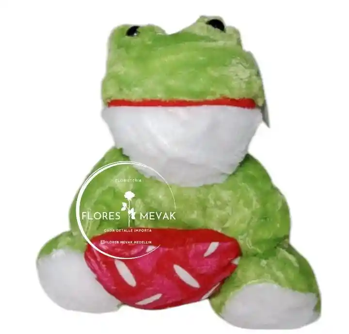 Peluche De Rana