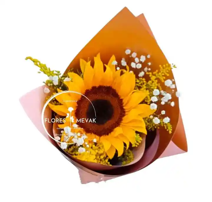 Girasol En Solitario