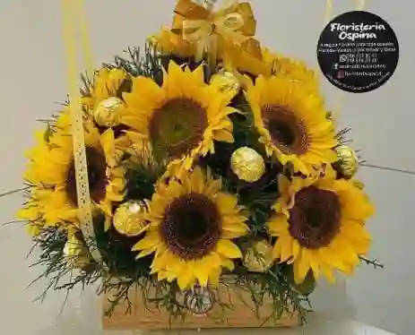 Girasoles Zeus