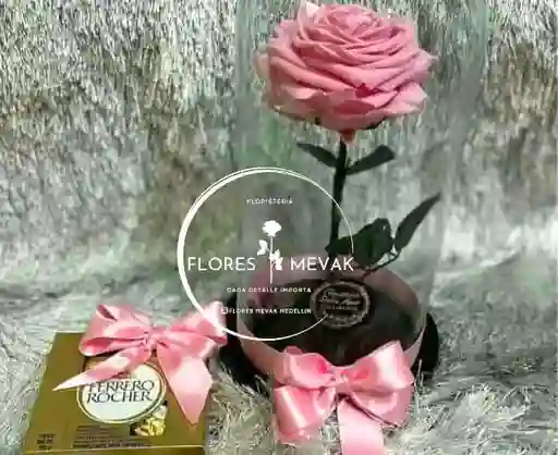 Rosa Rosada Preservada Y Ferrero