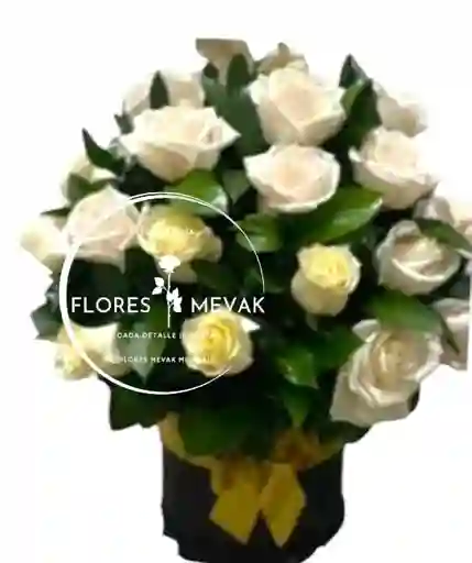 Rosas Sencillas Blancas