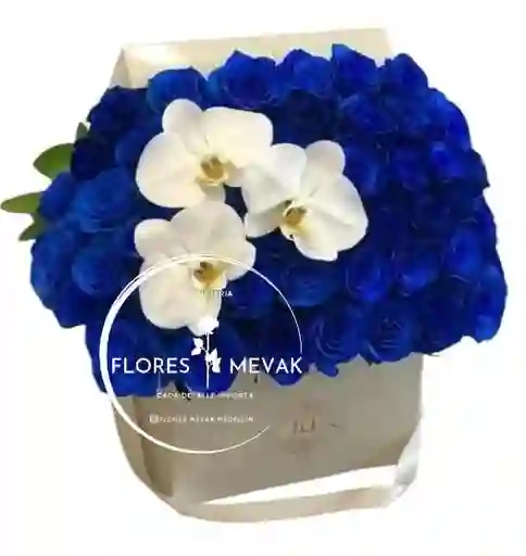 Rosas Azules Y Orquideas