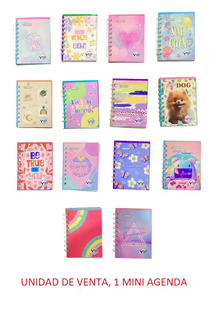 Cuaderno Mini Agenda Argollado Dama 70 Hojas Cuadriculadas Surtidas