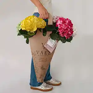 Bolsa Sonrisa Con Hortensias De Colores