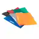 Carpeta Legajar Plastica Oficio