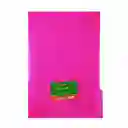 Carpeta Legajar Plastica Oficio