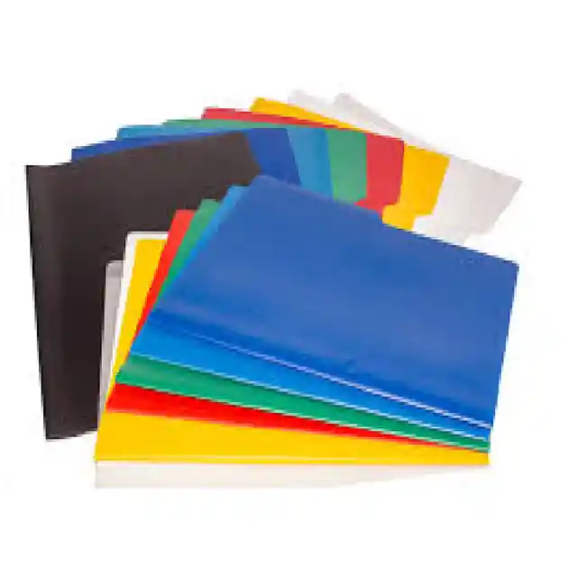 Carpeta Legajar Plastica Carta