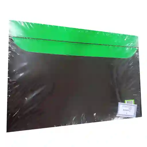 Carpeta Plastificada Cuarto 1/4