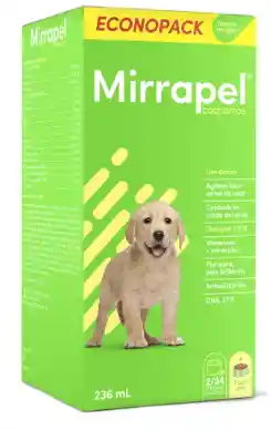 Mirrapel Cachorros