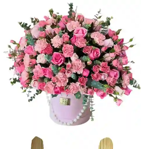Caja De Rosas Fucsia