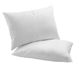 Set X2 Almohada Clasica 45x 65 Cm Semidura