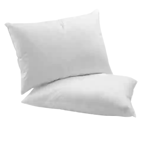 Set X2 Almohada Clasica 45x 65 Cm Semidura