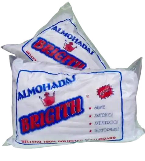 Set X2 Almohada Clasica 45x 65 Cm Semidura