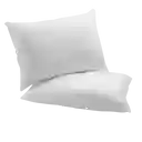 Set X2 Almohada Clasica 45x 65 Cm