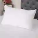Almohada Clasica 50x 70 Cm
