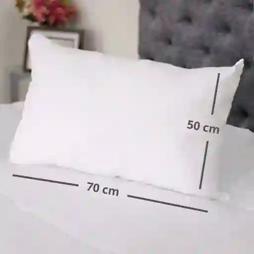 Almohada Clasica 50x 70 Cm