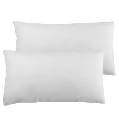 Se X2 Almohada Clásica 50x 70 Cm