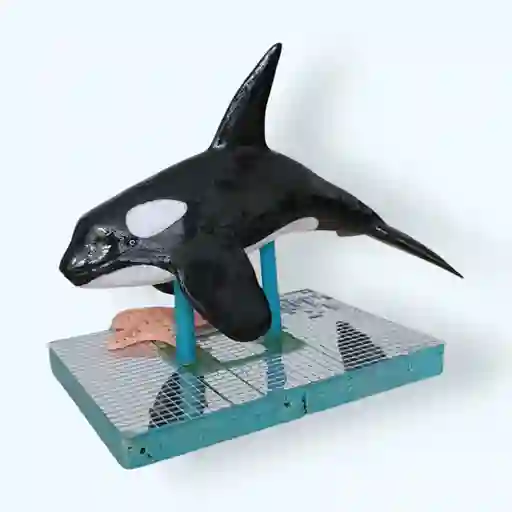 Ballena Decorativa En Arcilla 19 C.m.