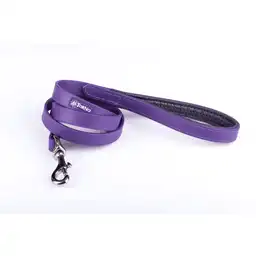 Altorno - Traílla Sintética Neop 120cm - Morado