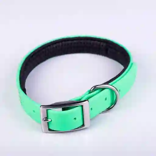 Altorno - Collar Sintético Nep Verde - M