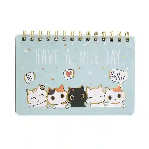 Agenda Grande Gatos