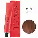 Tintura Igora Royal 5-7 Castaño Claro Cobrizo 60 G