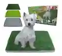 Tapete Grande Para Mascotas