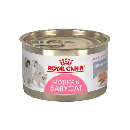 Lata Royal C. Gato Mother Baby 145gr