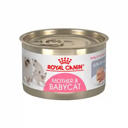 Lata Royal C. Gato Mother Baby 145gr
