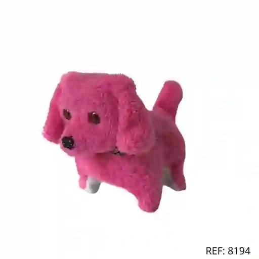 Perro Movimiento