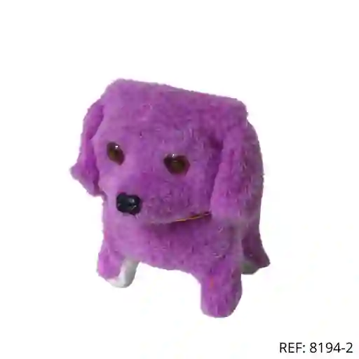 Perro Movimiento