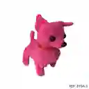 Perro Movimieto
