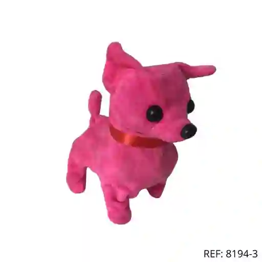 Perro Movimieto