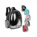 Morral Mochila Maleta Transparente Para Perro O Gato