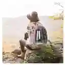 Morral Mochila Maleta Transparente Para Perro O Gato