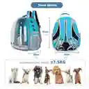 Morral Mochila Maleta Transparente Para Perro O Gato