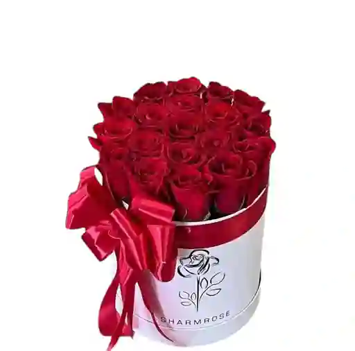 Cilindro De Rosas Pequeño