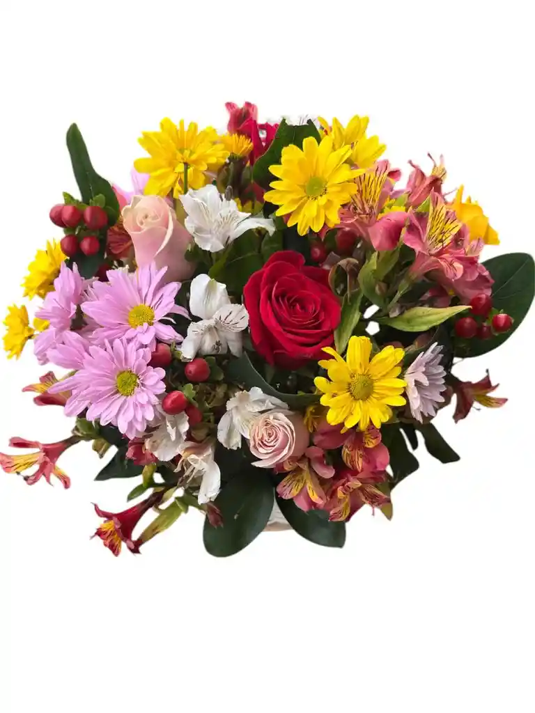 Flores Para Mamá