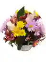 Flores Para Mamá