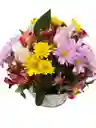 Flores Para Mamá