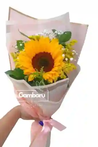 Flores Girasol En Solitario