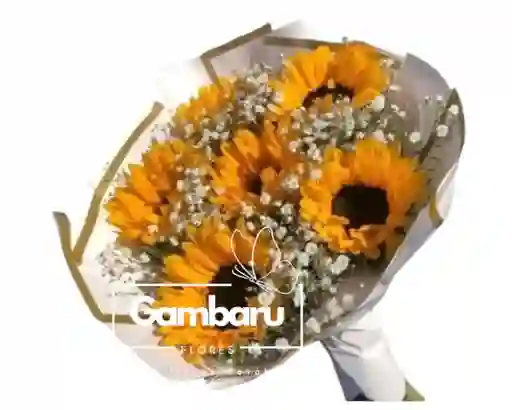 Flores- Girasoles Para La Ocasión