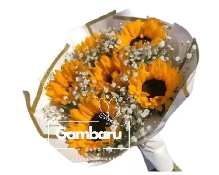 Flores- Girasoles Para La Ocasión