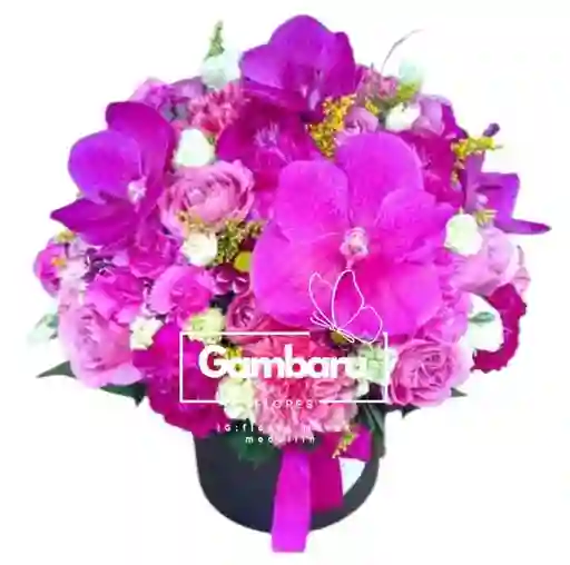 Flores- Beauty Purple