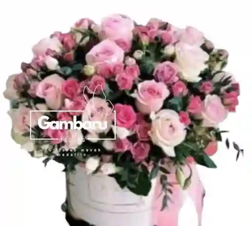 Flores Rosas En Tonos Rosa
