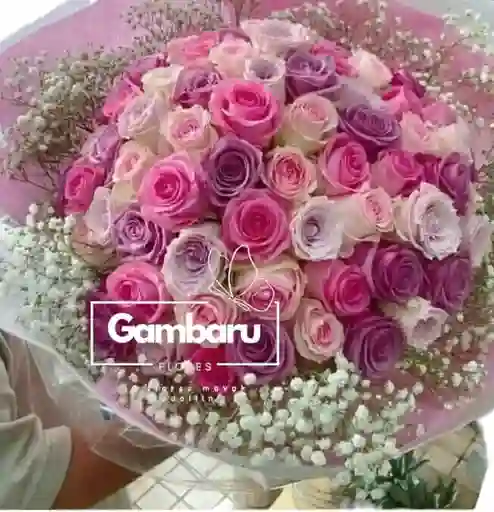 Rosas Dulce Encanto